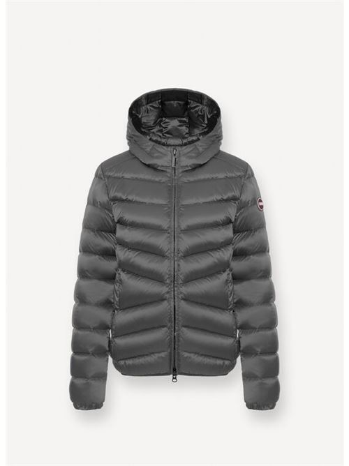 COLMAR | 2219 2YO/506